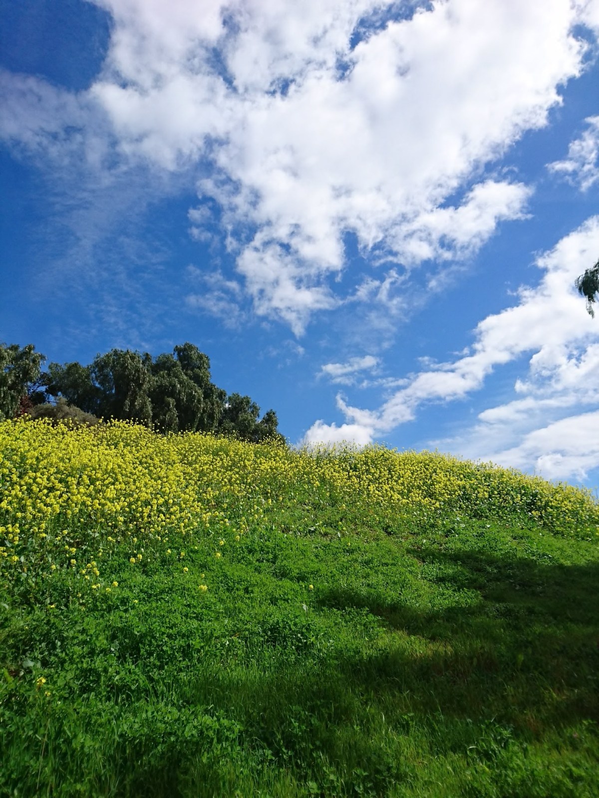 My favorite trail&nbsp;view